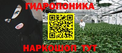 прущие грибы Ликино-Дулёво