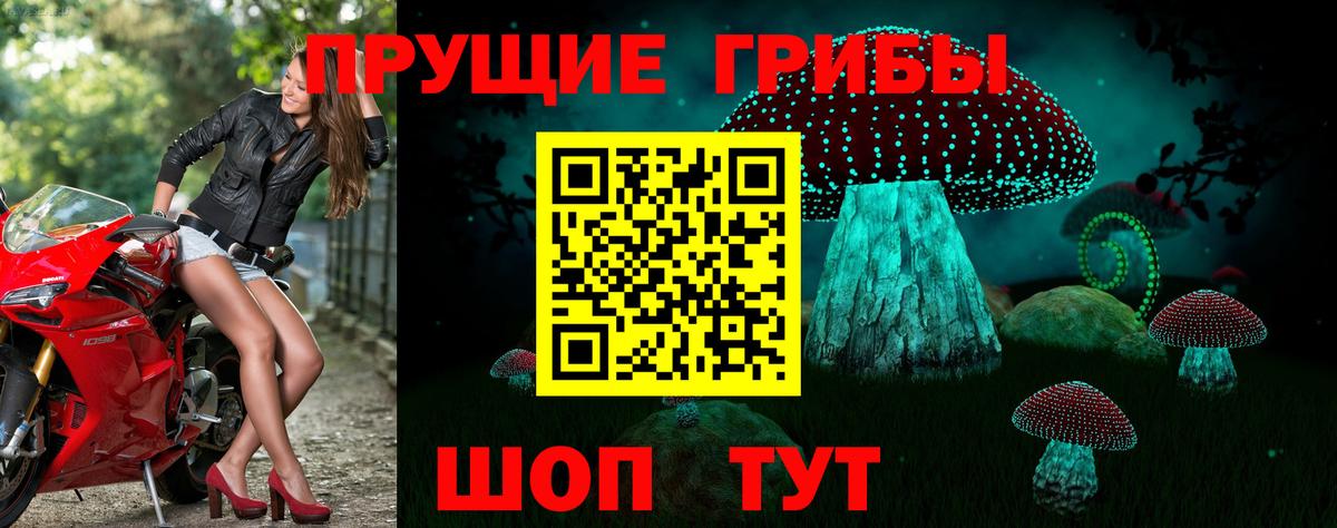 Псилоцибиновые грибы мухоморы Железногорск